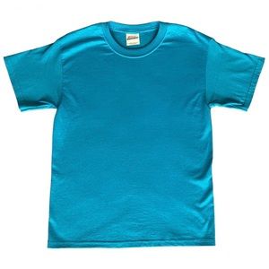 Hanes heavyweight 50/50 t-shirt Adult Size Small in dark turquoise color